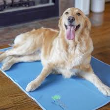 Cooling Gel Mat for Dogs – Keeps Your Pet Cool & Comfortable All Summer