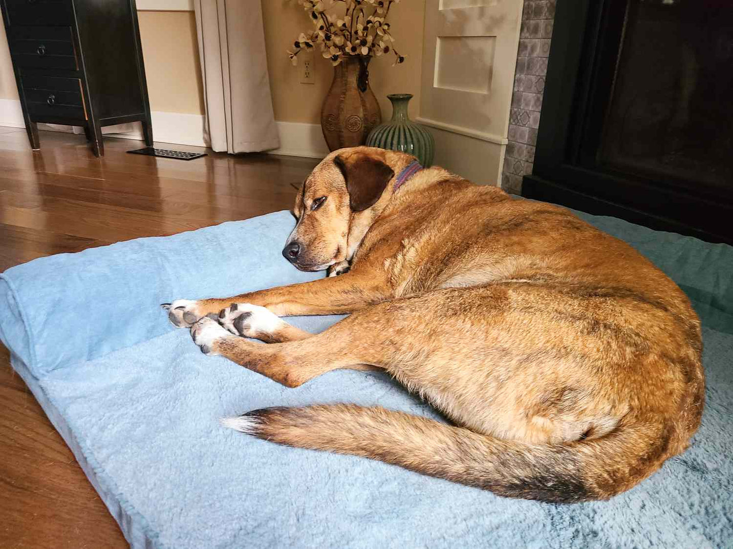 Cooling Gel Mat for Dogs – Keeps Your Pet Cool & Comfortable All Summer
