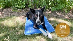Cooling Gel Mat for Dogs – Keeps Your Pet Cool & Comfortable All Summer